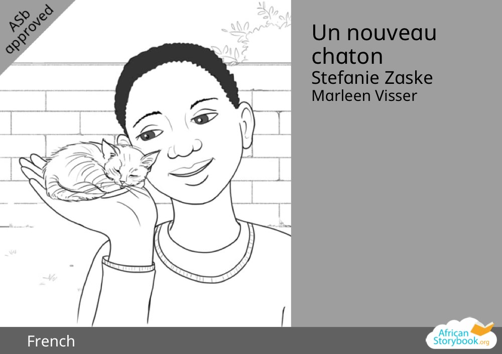 Un nouveau chaton
